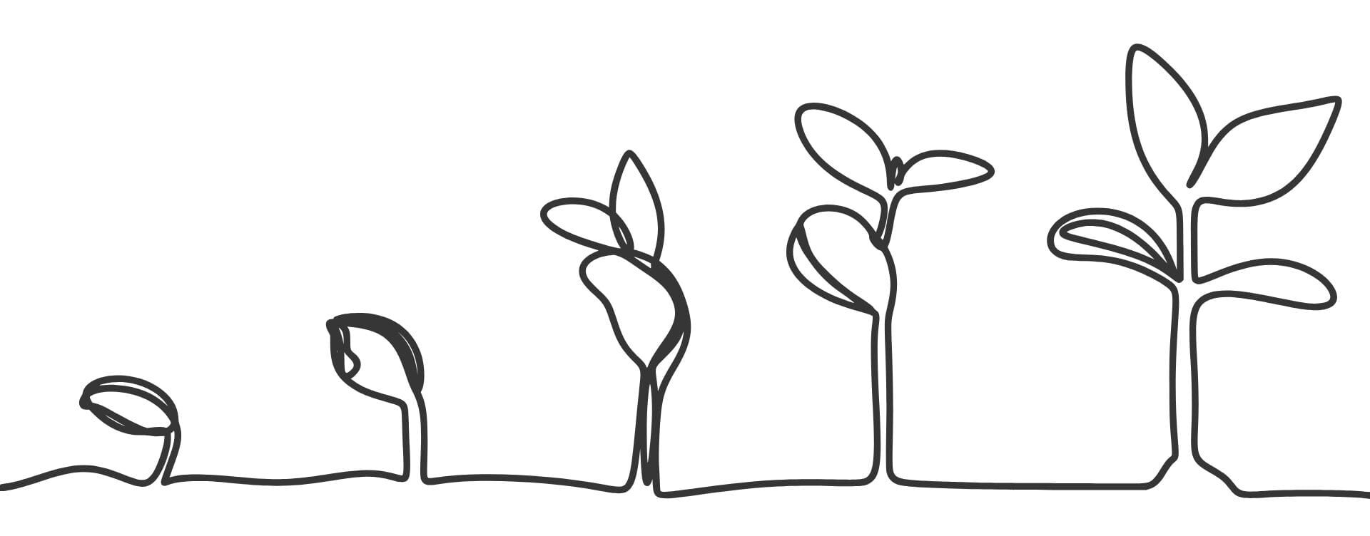 Seed Growing into Plant (Decorative) menstrual health,fertility